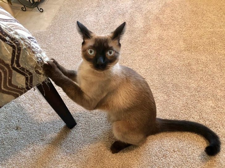 5164035276927a009d2ea39b20