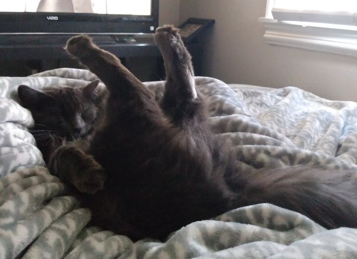 516957538983eaa7fdd9f2f021 516957538983eaa7fdd9f2f021