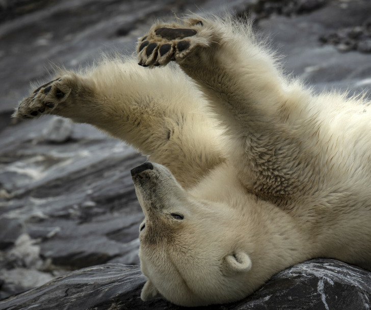 516c195137937c7929fa289e6e