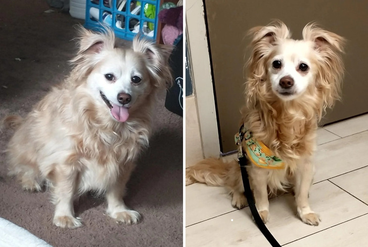 5174615c389b9ddd3c2efb329a