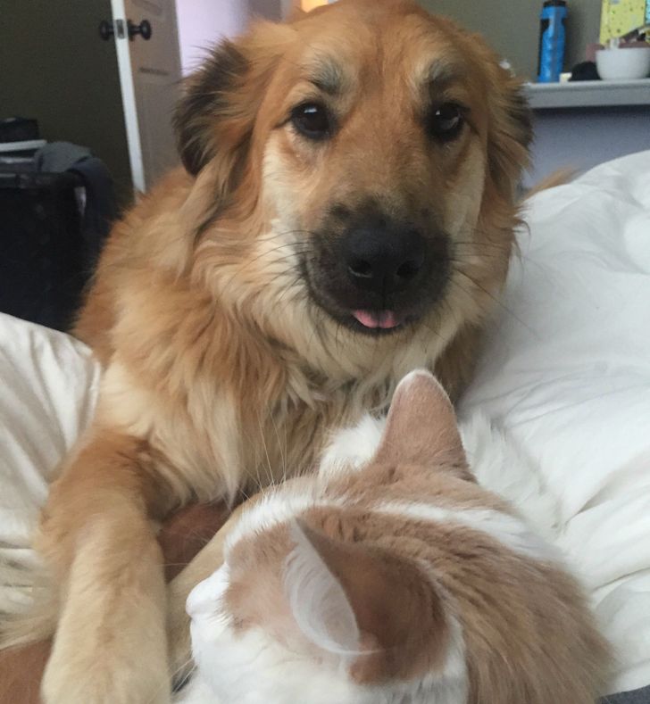 51756b5908b09e8895b093693a