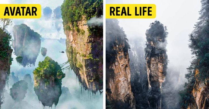 5179ac51278855e4c0ecf0a874