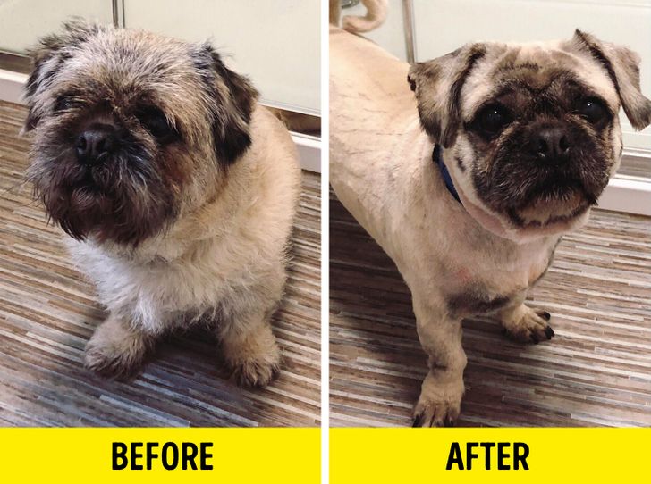 517f575c96a700ff908029a413