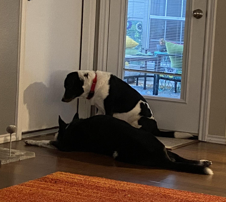 518559590c829d50ccee836f20