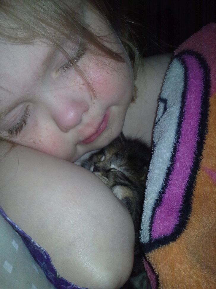 51876a56158f768bc2ab017cab