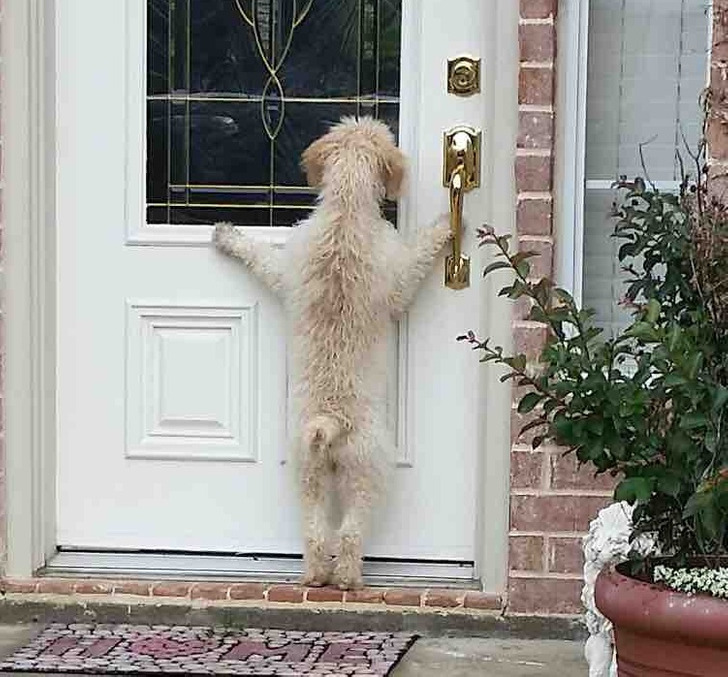 518d3259988d7fb6984a0bc2e7