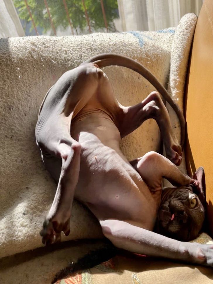 518f8f585da39e99d16b04d431