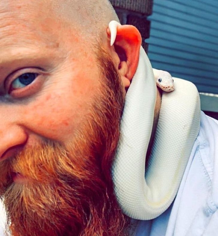 51911d5fc3b74f6c0582ac1625