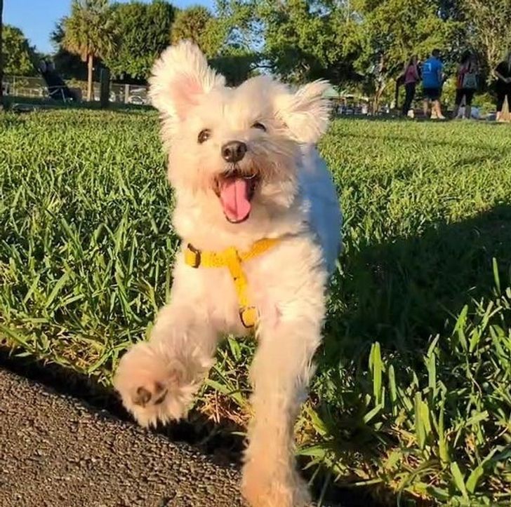 51956c5b6e922ff4b0bab4617d 51956c5b6e922ff4b0bab4617d