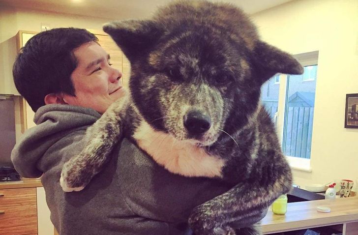 51a9c557658940ff170ccd06fd