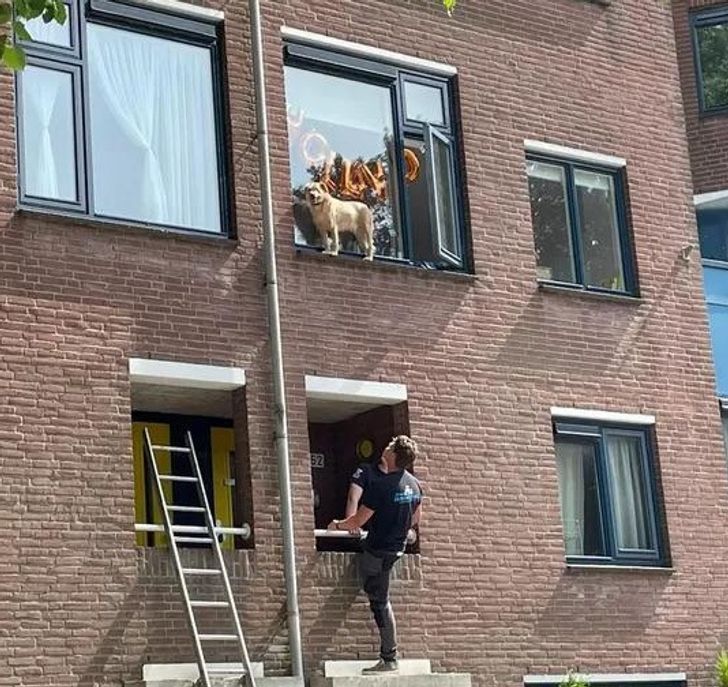 51af9f5879bfa630b4de82927d