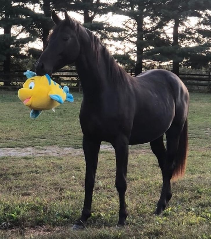 51b0255623a8f9943934a8da96