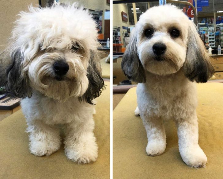 51b276547194e6cd2ad1b0c433