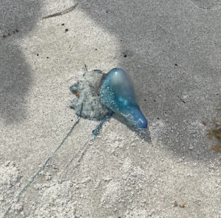 51d6985c44b0f21af43a5eab38