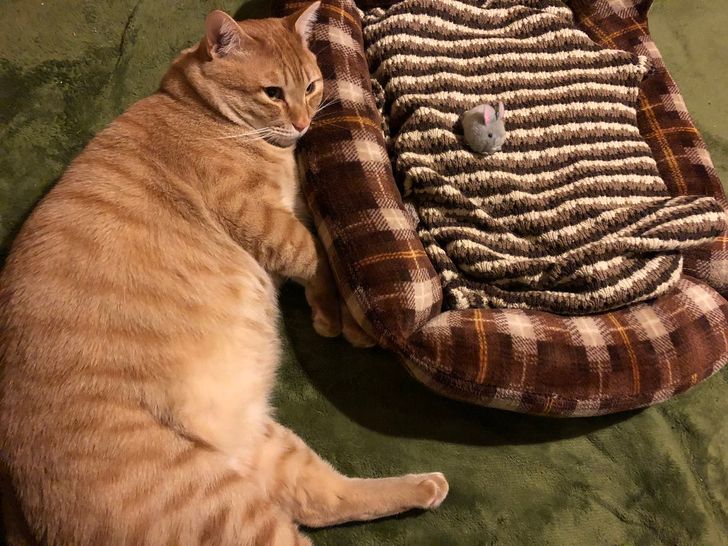 51d84d51798b0adfef77120084