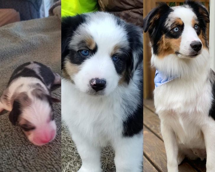 51d9d6589b8d1790f44a91a2d5