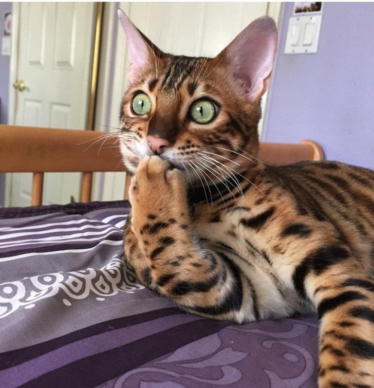 51ee3f5cbf9219e599ae99142f