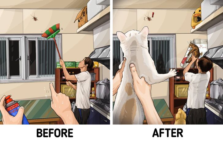 51efca5fec81735f04bef07f35