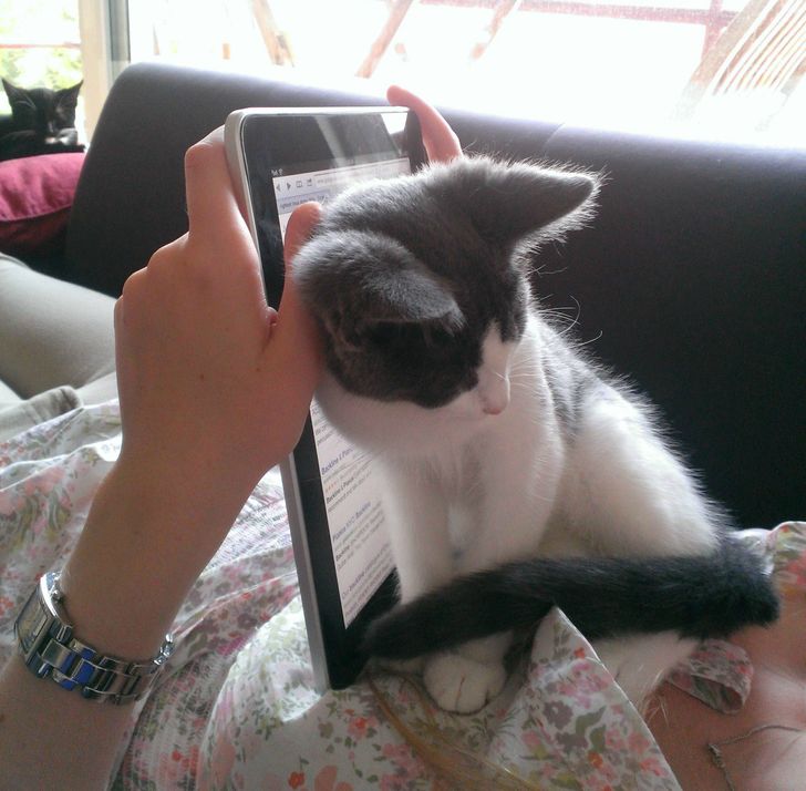 51f8515df785b796994271140b