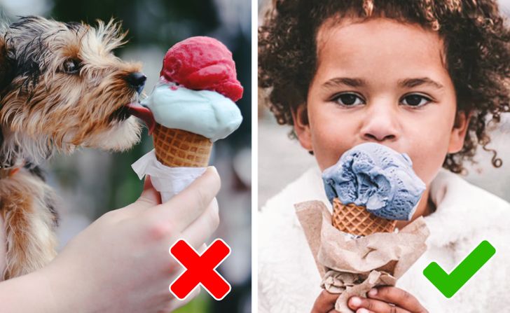 51f91757b0ad89c3b30992f764