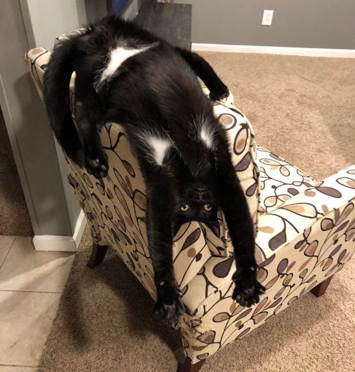 51fd3956caa7e2b53399566a6f