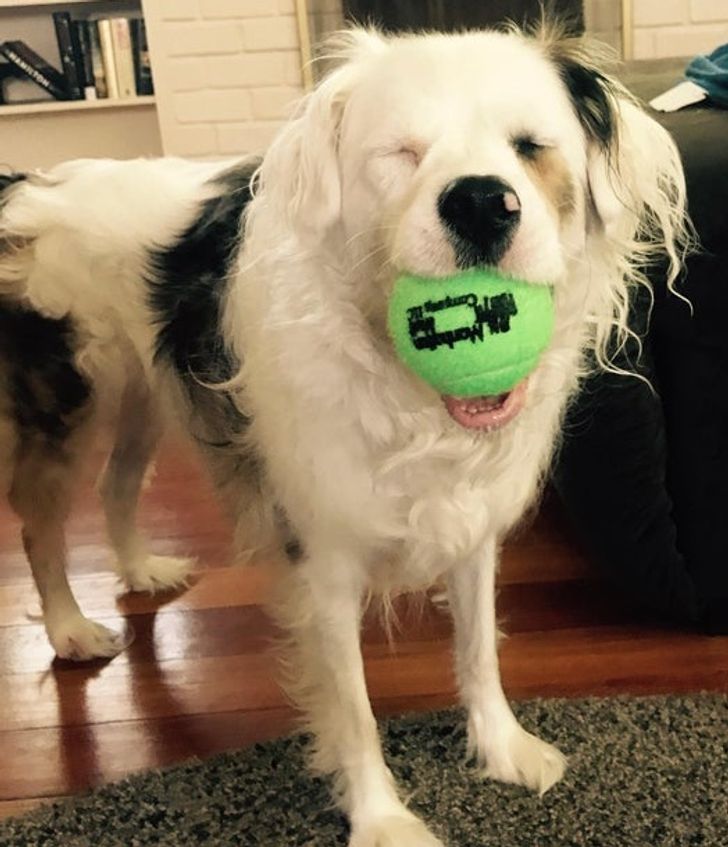 52082b5613afec2d36306be4da