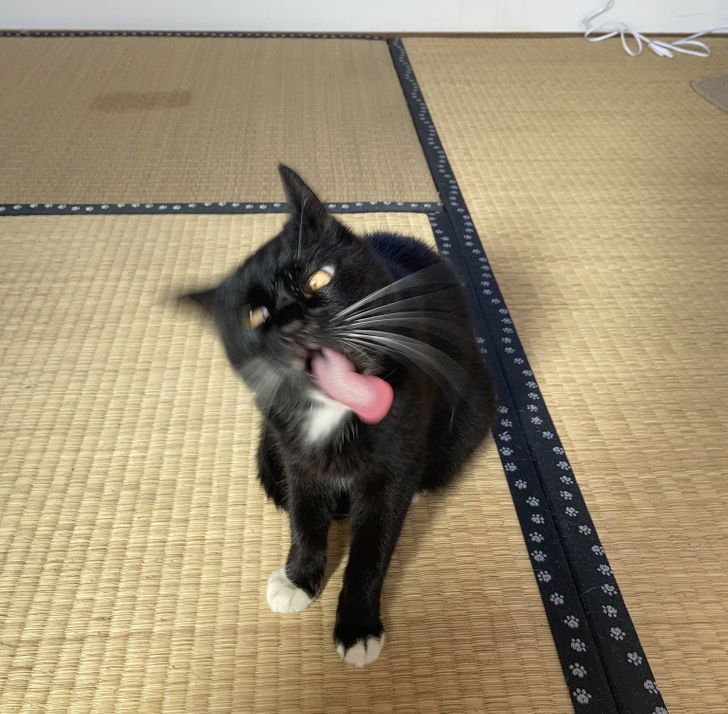 520a8755d2b5178c05a6739319