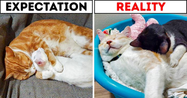 520b0d5781a24141e34b8fc644