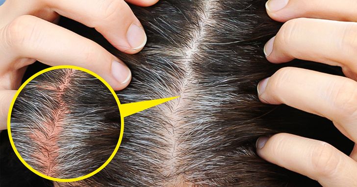 520e0b50558c009035fd4de3e7