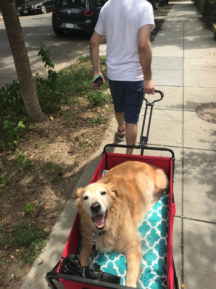 520e0c576fa7e731a17e7adb3b