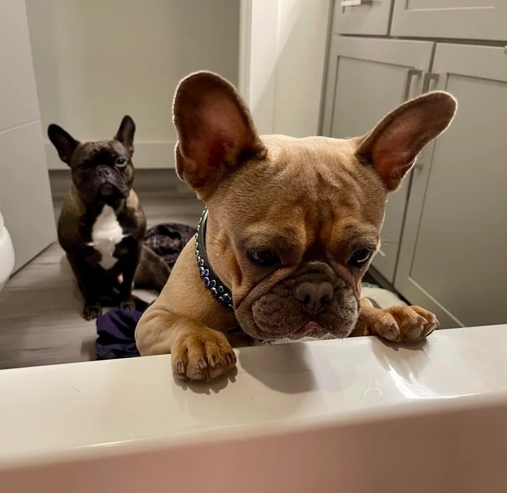 52123c5cc9b22ba619b66ccb42