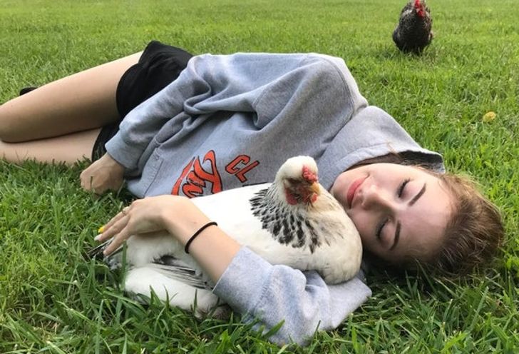 52133555d1bcbedc761115fd41