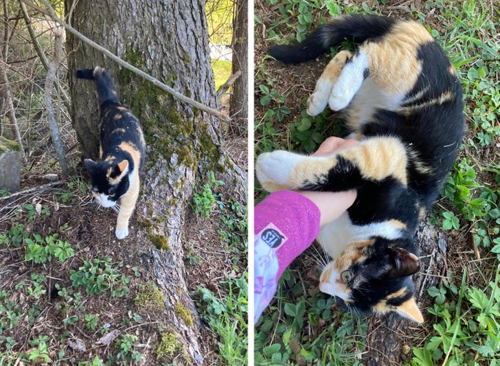 5216425c15ba74bac1671779db 5216425c15ba74bac1671779db