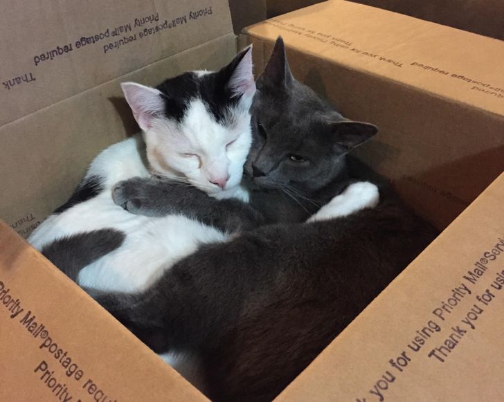 52186c5c8bab5ba73fde5c556b