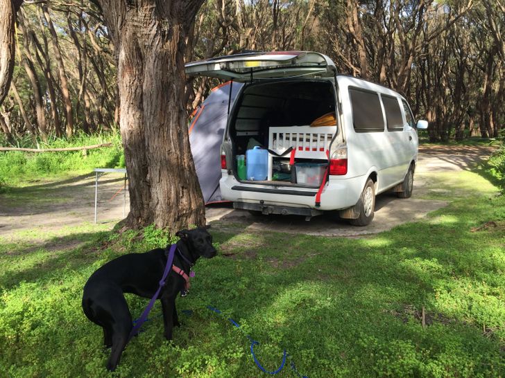 5219365fa0ba55fe87fd51fa43