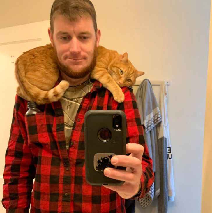 52210b5d7c919aefbec90726ae