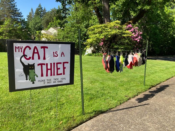 522ab25894a44719ade6bf6127