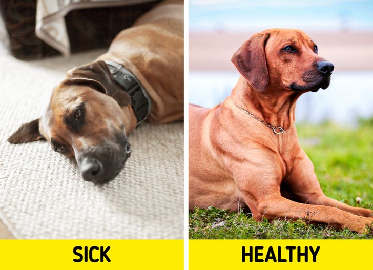 52373b5f07af9296e547acf760