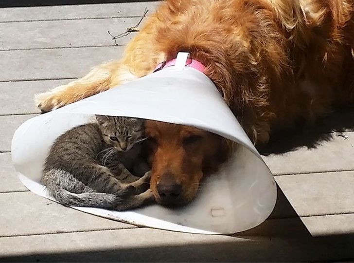 5237735cbab09a0f53e6174fe6