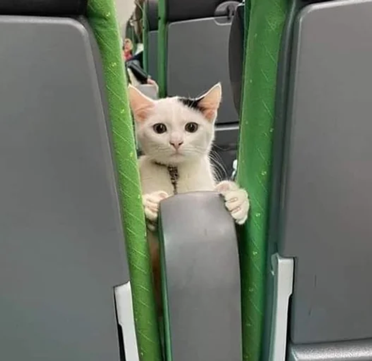 5237de5098953f6b16cdd0712c 5237de5098953f6b16cdd0712c