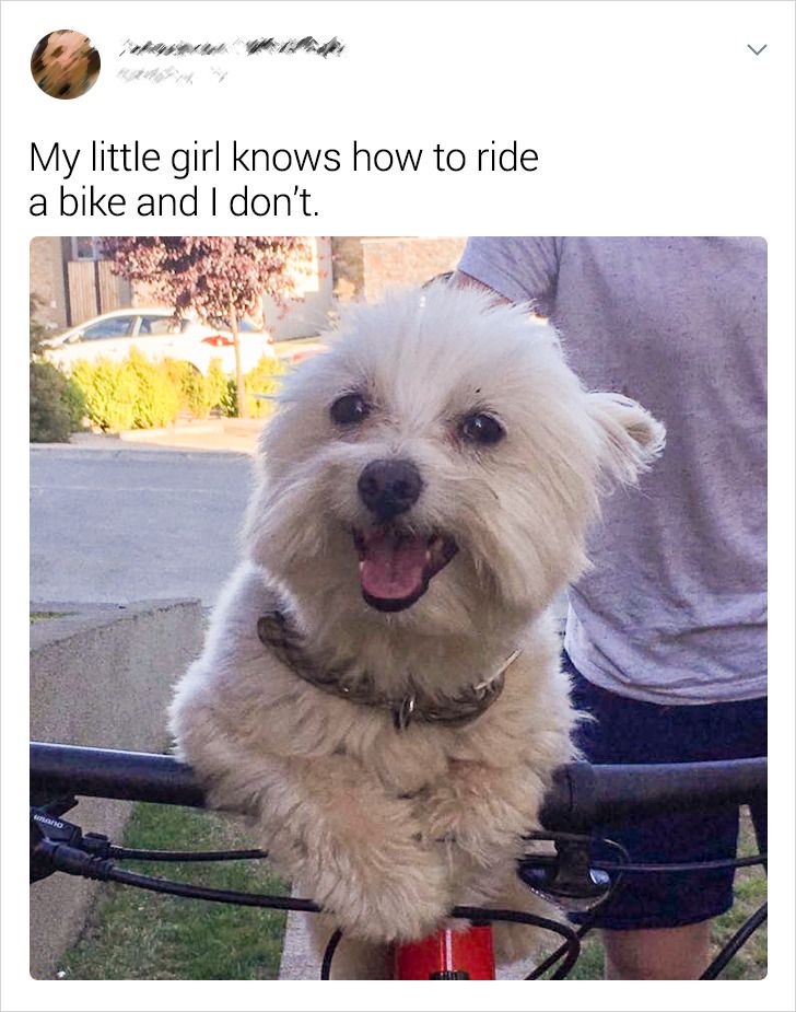 523b23516aa3eacbe0f8491c8b