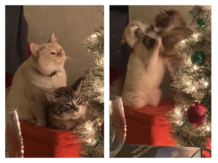 523e7e5128872fb6878a7bbf90 523e7e5128872fb6878a7bbf90