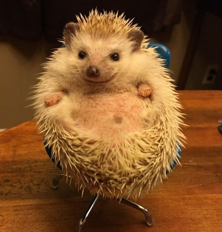 5245f25e179f5ef9c7515c2fe0