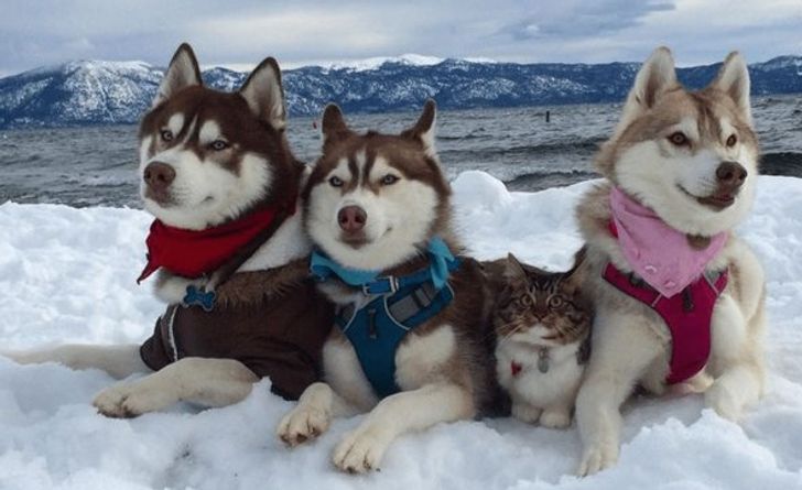 52489d5df88b95b21b3006d4d2