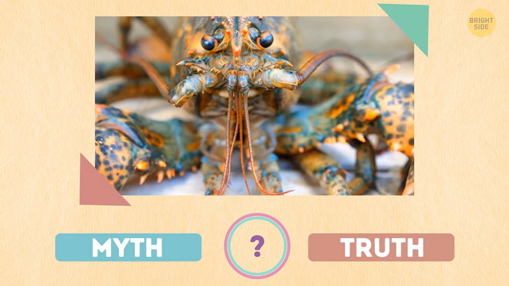 524bf65a82af4a6af8693fc178