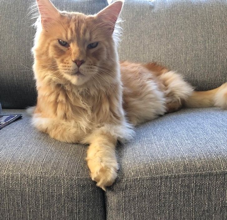 524dbf59faaaf36925c9762db3