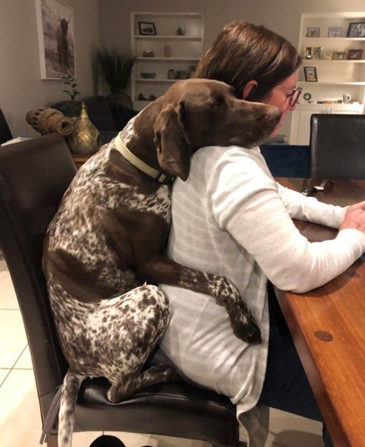 525e6a522e9e0e20650672b9f8