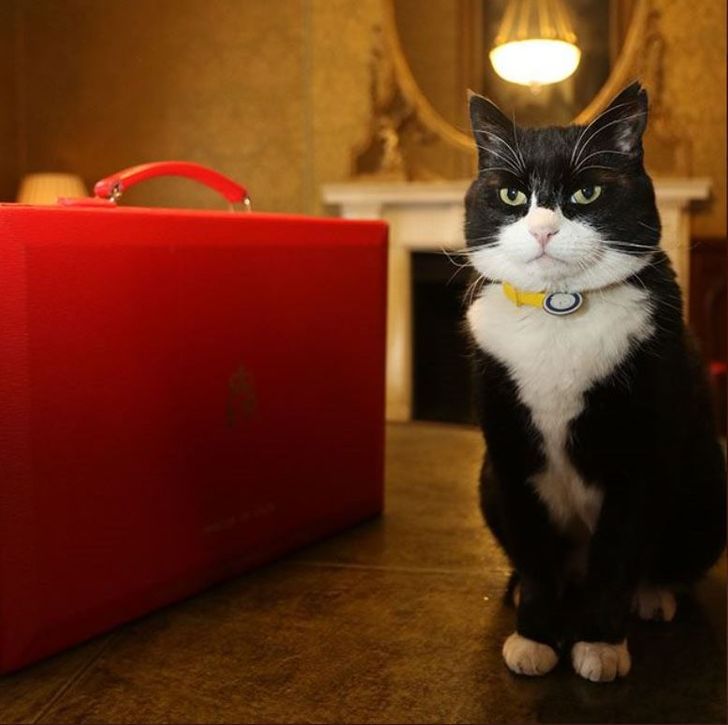 5260435347bd24ed2a1fd4f74b