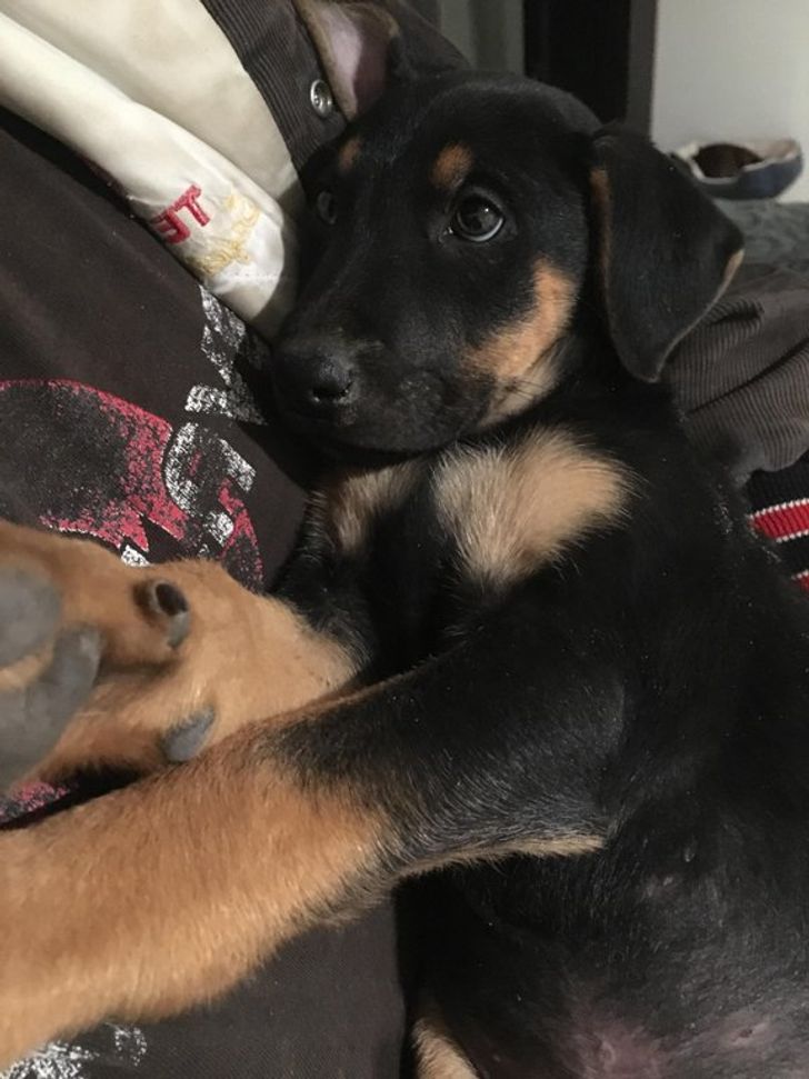 5264cc5d5d9b002b8b6fe7e5f2