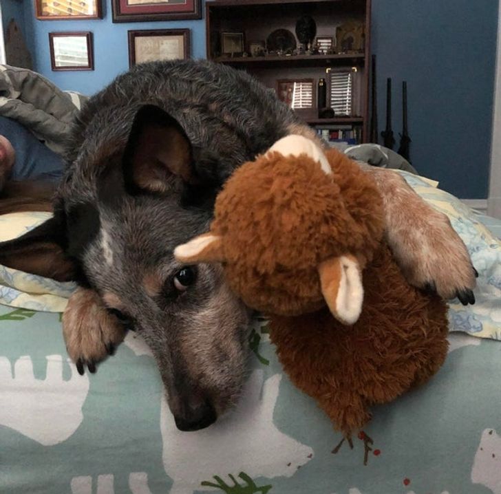 52658d5cd0894432c8b1a67f96